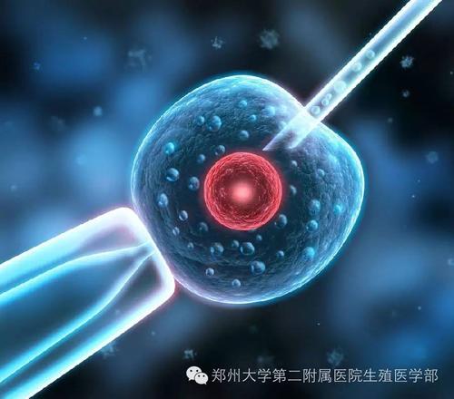 太原合法借卵包成功_人工授精可以在几种情况下取得成功。