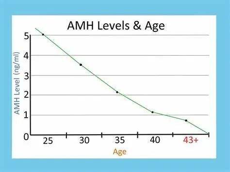 常州41岁供卵助孕-高Amh水平和鸡蛋质量之间有关系吗？这种关系不能被混淆