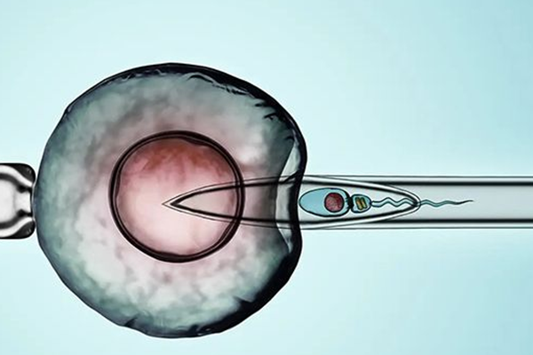 南昌59岁供卵试管-2022年武汉中南医院试管婴儿成功率一览，附推荐医生。