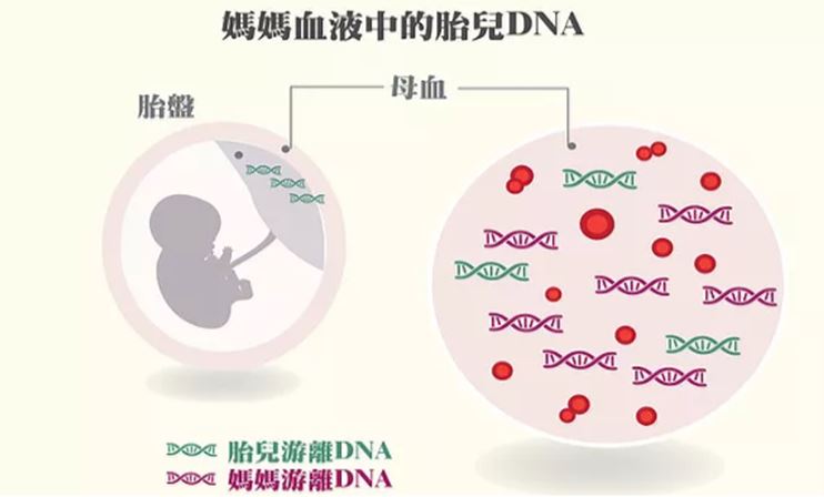 香港助孕男孩服务：在香港验血需要做哪些准备？满足哪些条件才能准确检测？