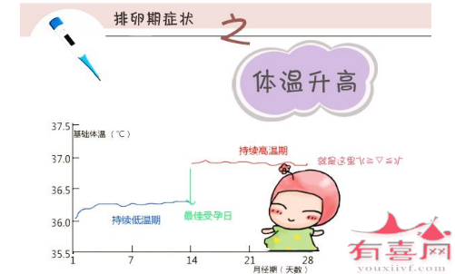 绵阳借卵-排卵是在月经停止后几天计算的。